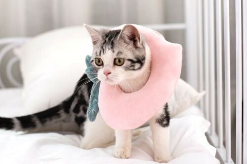 Adjustable Pet Neck Cone Recovery Collar Anti-Bite Soft Comfort For Cat Dog Gift - Ganesa Trading Inc.