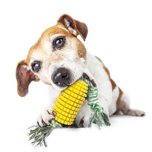 Dog Chew Toys, Pets Toothbrush, Corn Teething Cleaning Dental Teething Rope NEW - Ganesa Trading Inc.